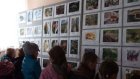 В Кузнецке работает фотовыставка «Заповедная природа»