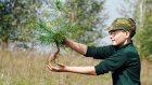 В рамках экологической акции школьники посадили 700 сосен