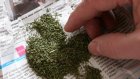 60-летняя жительница Каменки подозревается в хранении марихуаны