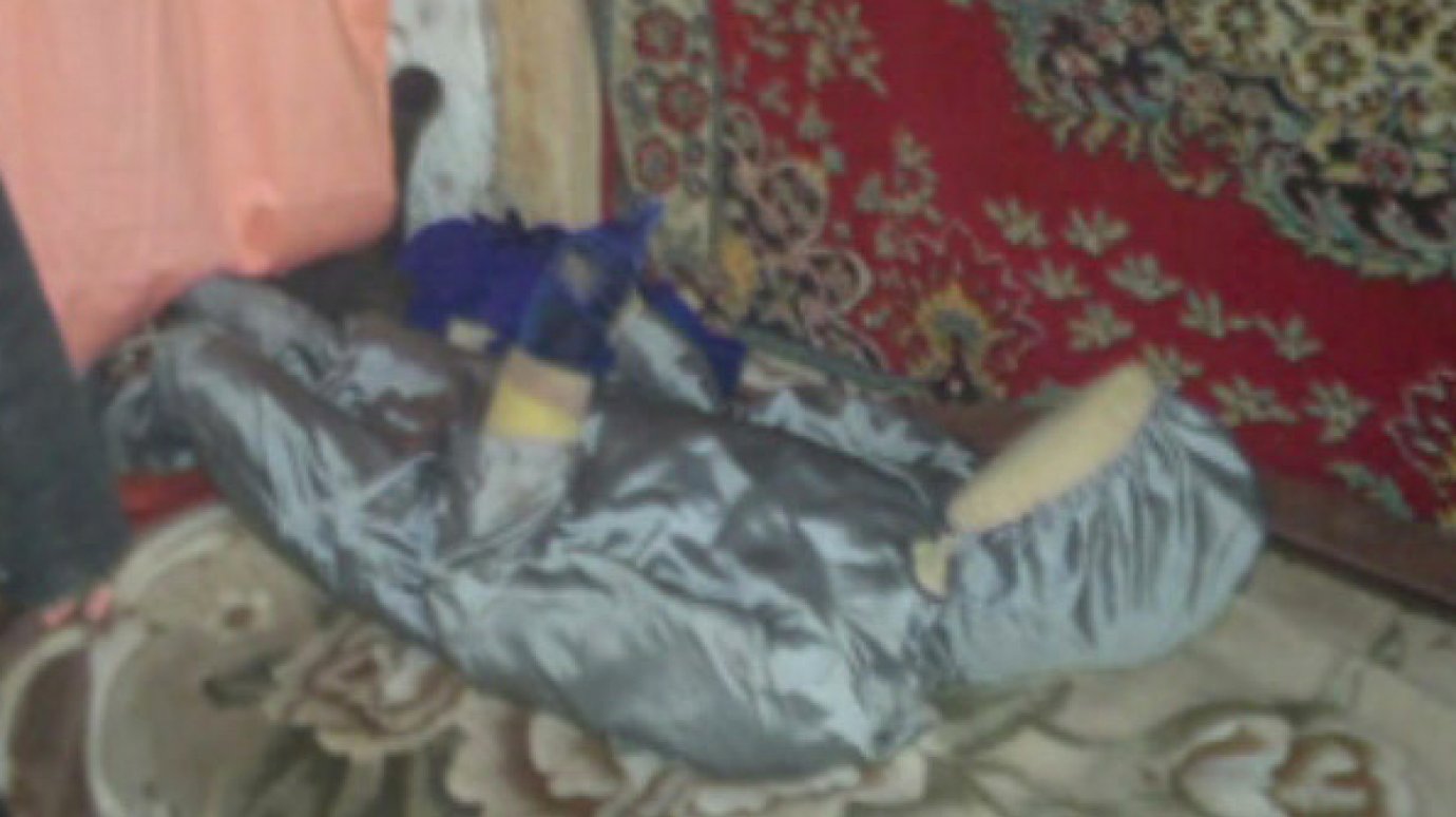 Житель Пачелмского района лишится свободы за убийство матери