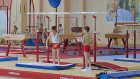 Гимнасты Пензы попали в финал летней спартакиады учащихся