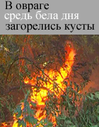 На Западной поляне дети подожгли кусты в овраге