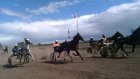 В Пензенской области организуют конные бега