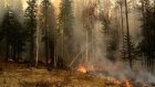 В России зарегистрировано 120 действующих лесных пожаров