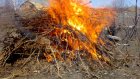 10-летний кузнечанин получил серьезные ожоги при сжигании мусора