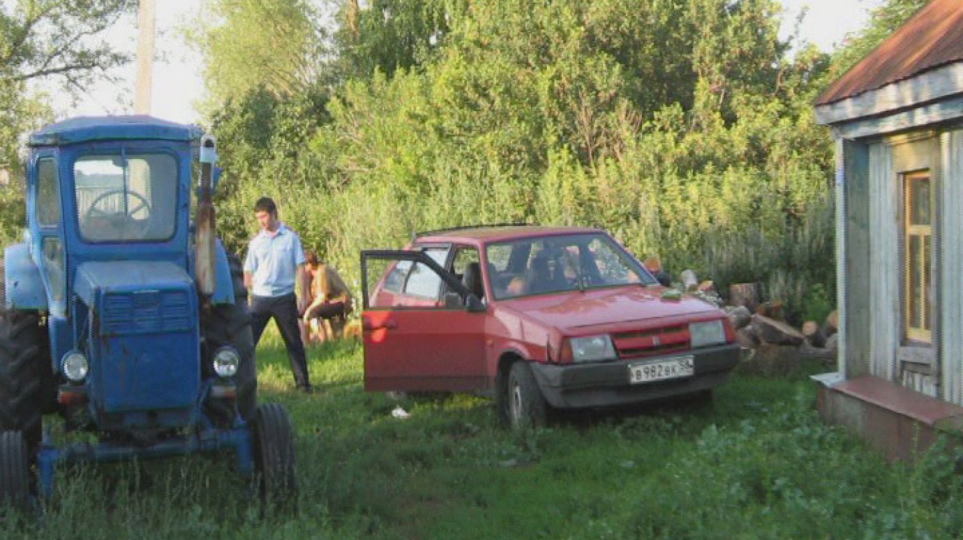 В селе Низовка убили 60-летнего жителя Каменки