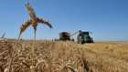 Сельхозпроизводители вывели регион на третье место в России