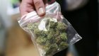 22-летний грибник из Каменки задержан с пакетом марихуаны