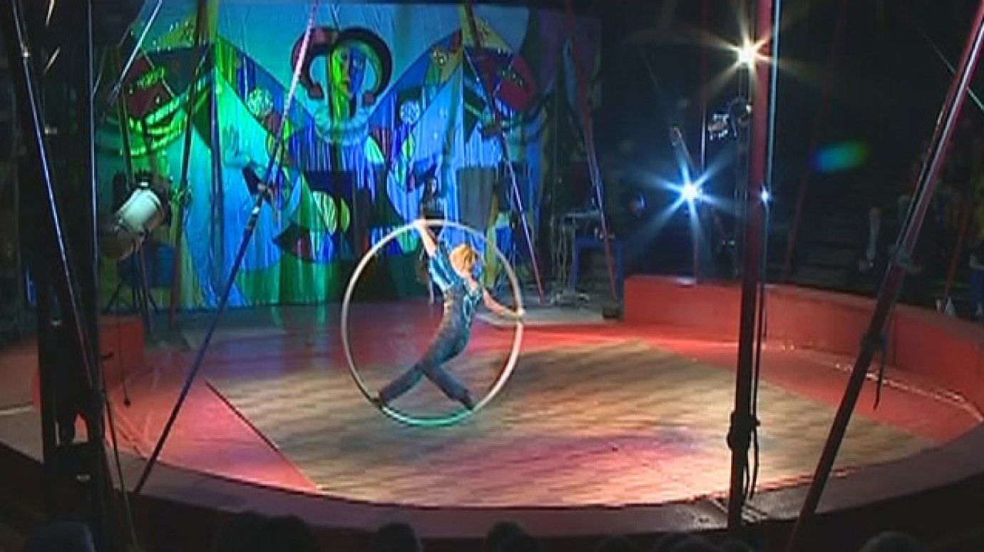 Артисты цирка подготовили для детей благотворительное выступление