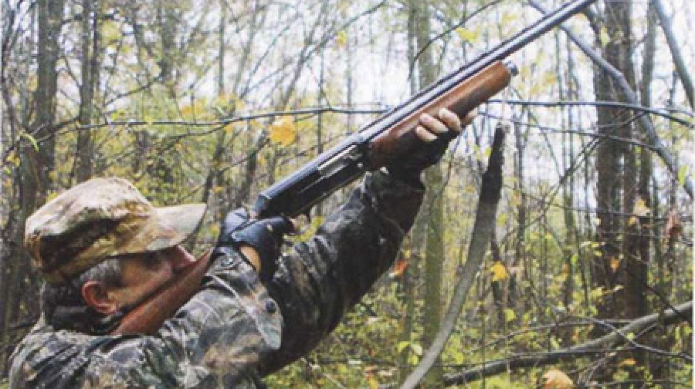 На территории Никольского лесхоза выдано 170 разрешений на охоту