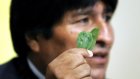Судья с помощью листьев коки предсказал президенту Боливии новый срок