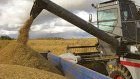 Пензенская компания «Русмолко» завершила уборку зерновых культур