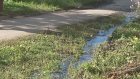 Жителям проспекта Строителей не дает покоя утечка воды