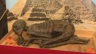В краеведческом музее открылась выставка египетских мумий