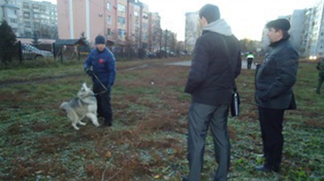 Чиновники охраняют территорию школы от людей с собаками