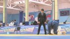 Пензенские дзюдоисты готовятся к третьему этапу Кубка губернатора