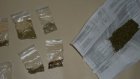 У жителя Кузнецка изъяли около 500 граммов марихуаны