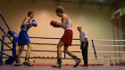 В «Рубине» проходит первенство Пензы по боксу среди юниоров