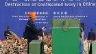 В Китае уничтожили шесть тонн слоновой кости