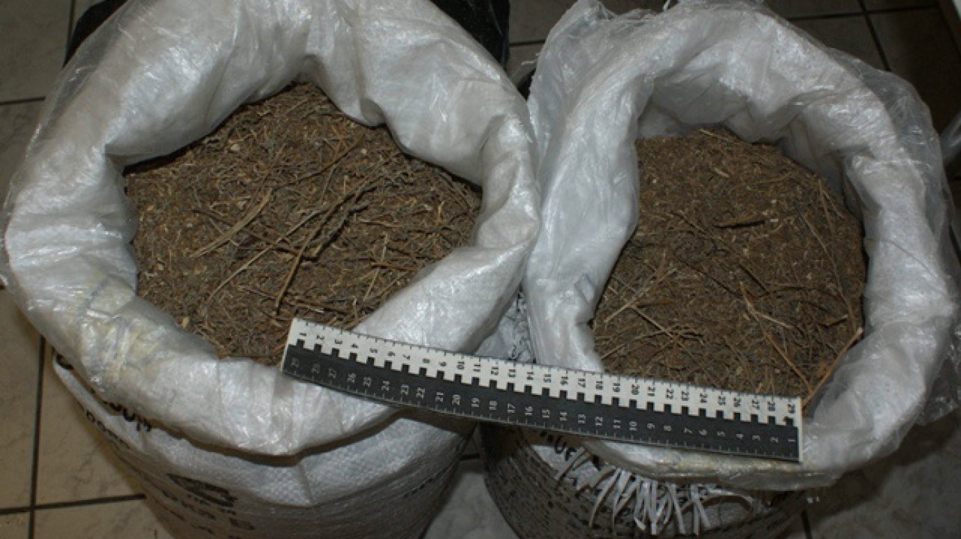 За новогодние каникулы сотрудники УФСКН изъяли 2,5 кг наркотиков