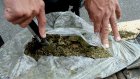 У жителя Земетчинского района нашли более 3 кг марихуаны