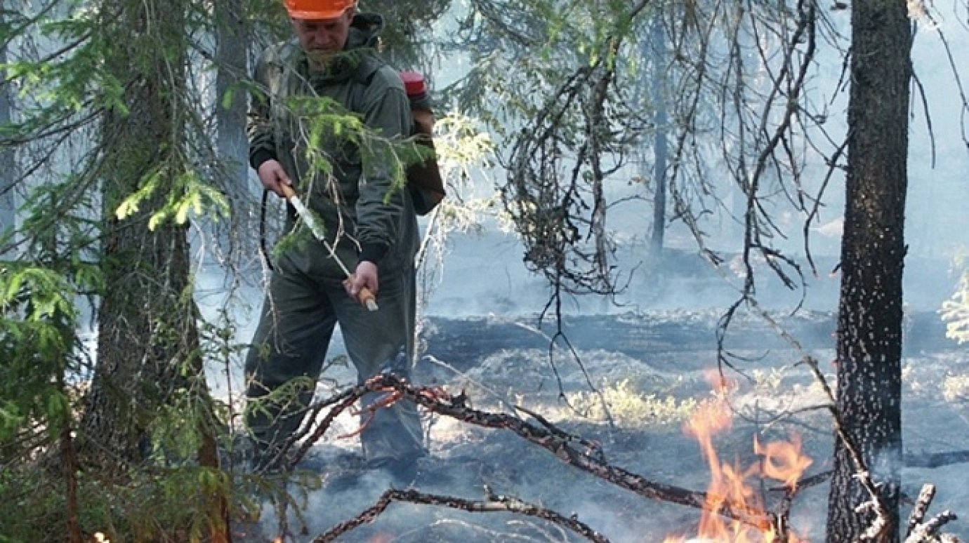 В Пензенской области составили план тушения лесных пожаров на 2014 год