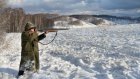 С начала года в Пензенской области выявлено 46 нарушений правил охоты