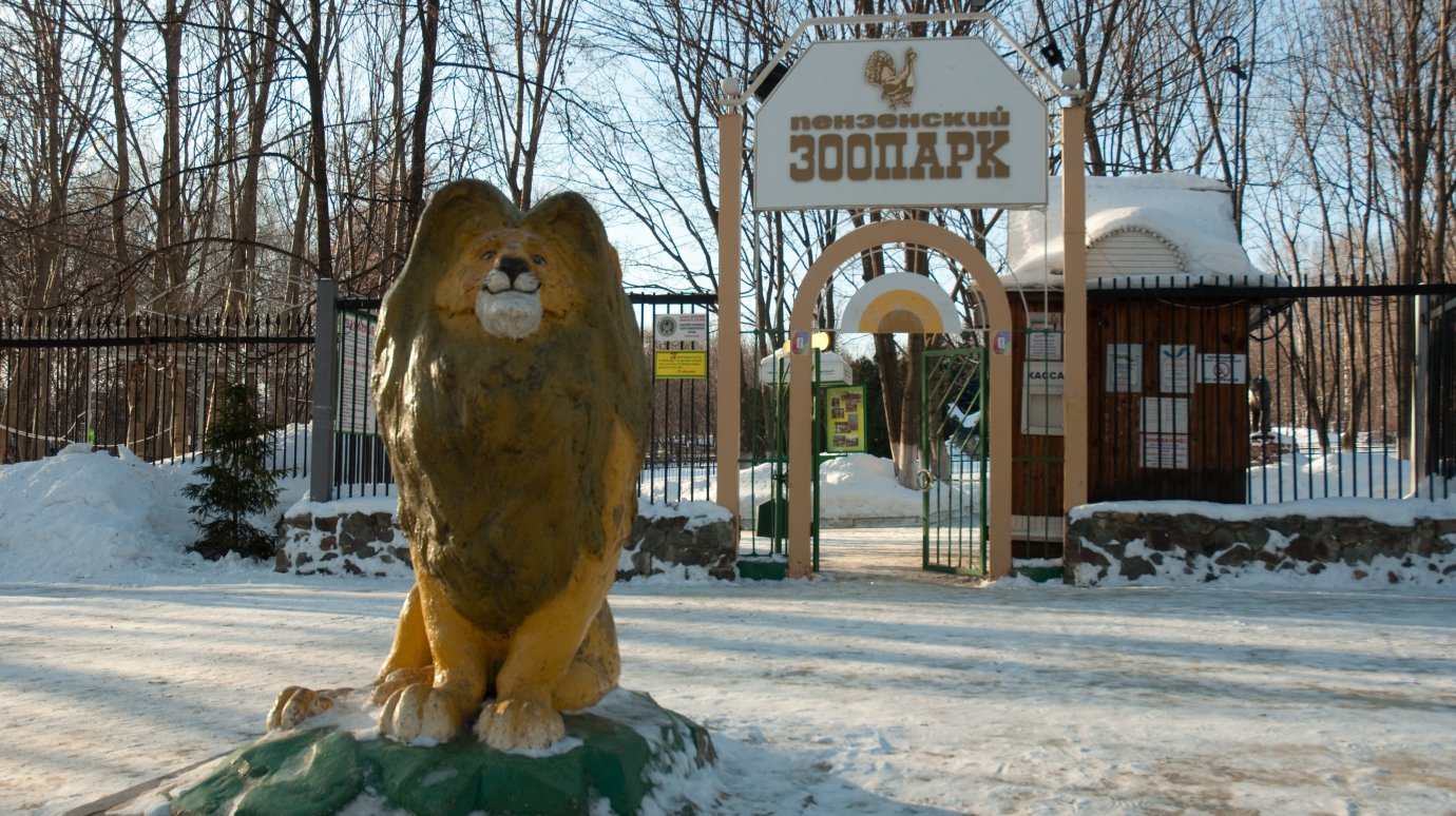 Пензенский зоопарк разыгрывает 10 пригласительных