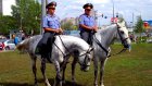 Каменские полицейские закупают амуницию для лошадей