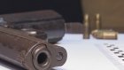 Пензячка 25 лет незаконно хранила оружие в подполе своего дома