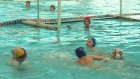 В Пензе проходит областное первенство по водному поло среди подростков