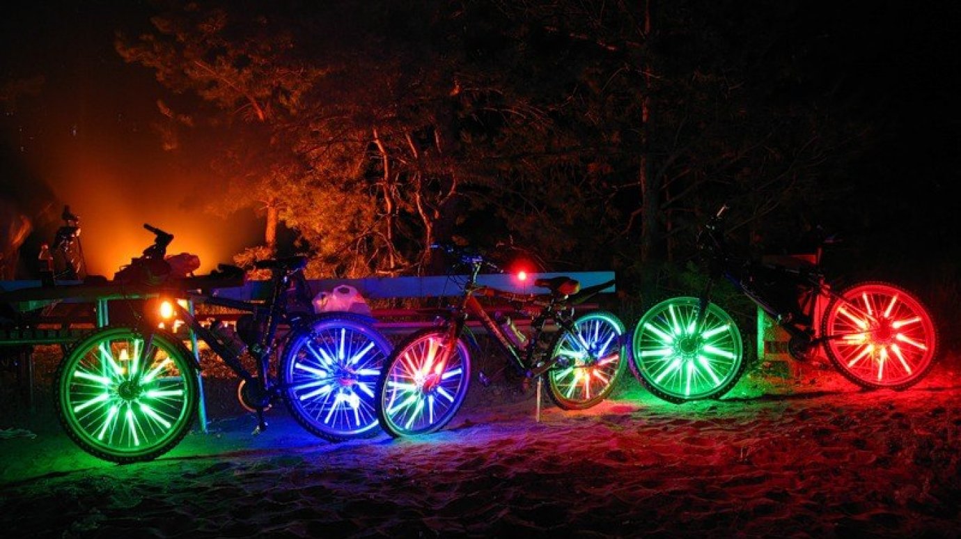 В Пензе в рамках «Часа Земли» пройдет флешмоб «Велосветлячки 4.0»