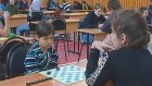 В Пензе назвали лучших шашистов области
