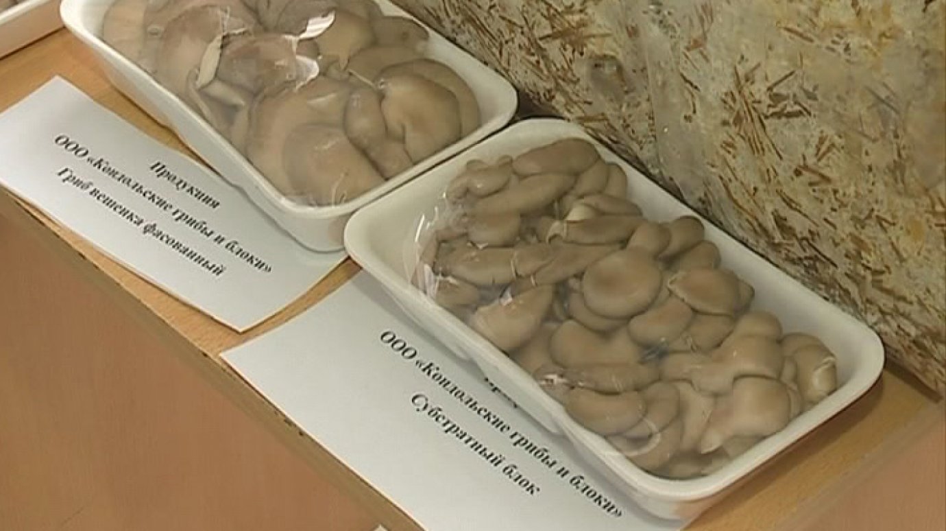 В Пензенской области планируют развивать грибоводство