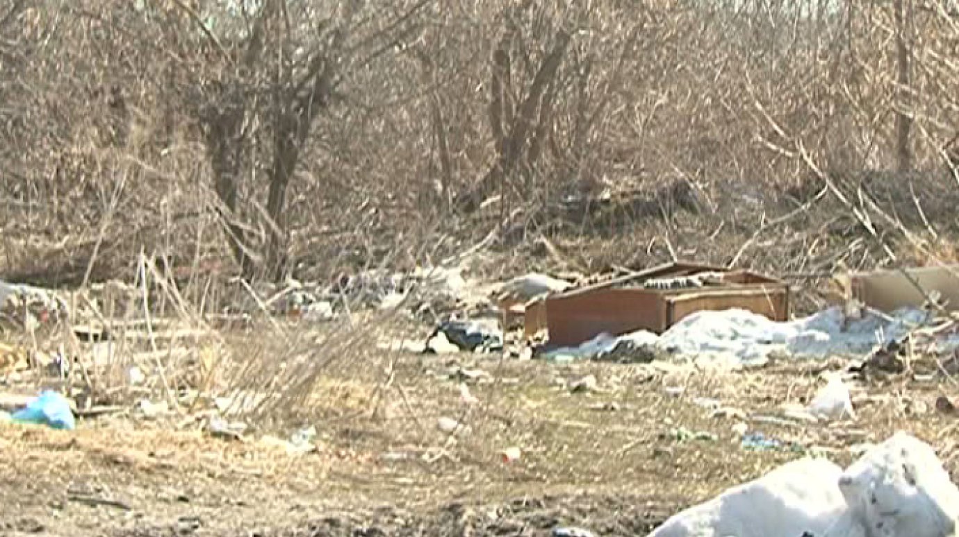 Территория рядом с домом № 14 на улице Маркина тонет в залежах мусора