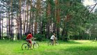 4 мая прокатитесь на велосипеде по весеннему лесу