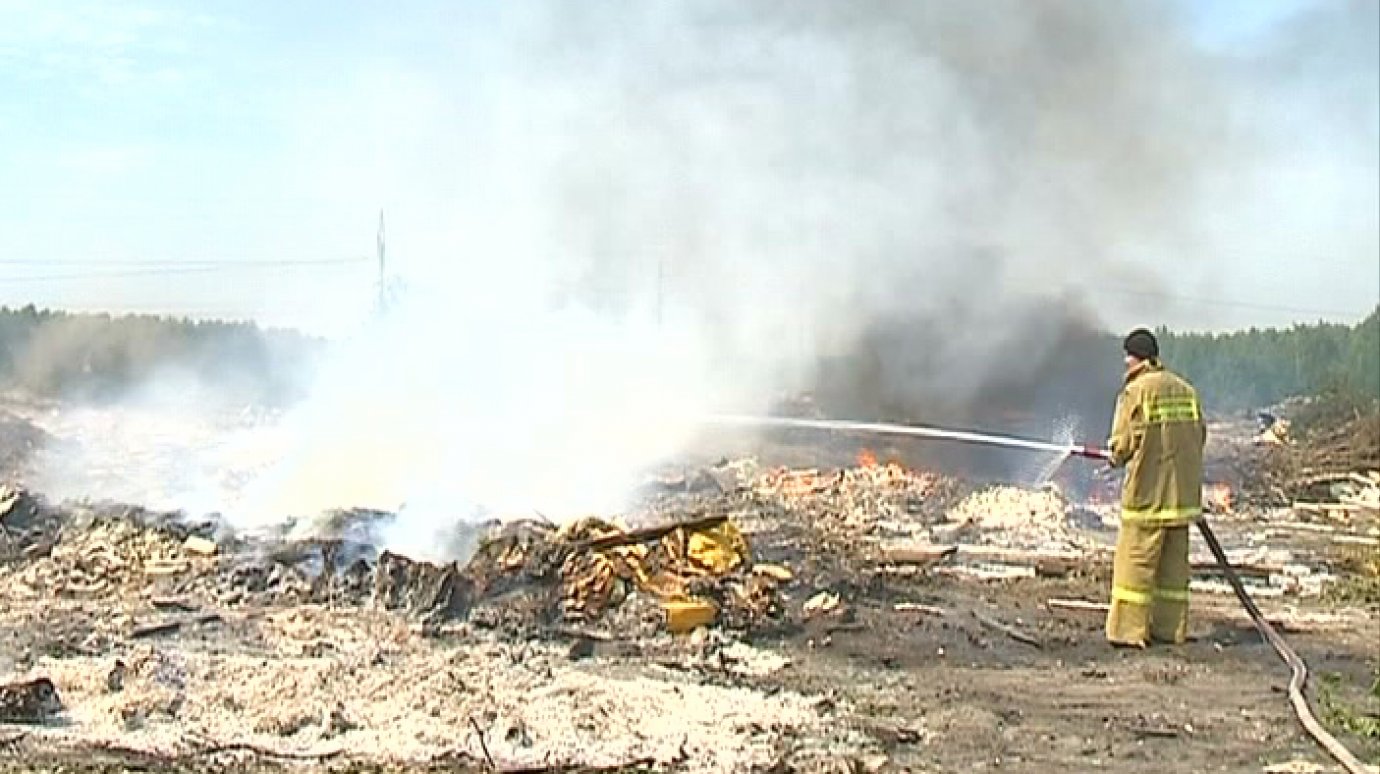 Причиной пожара на Чемодановской свалке мог стать поджог