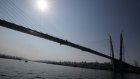 Девушка выжила после прыжка с Золотого моста во Владивостоке