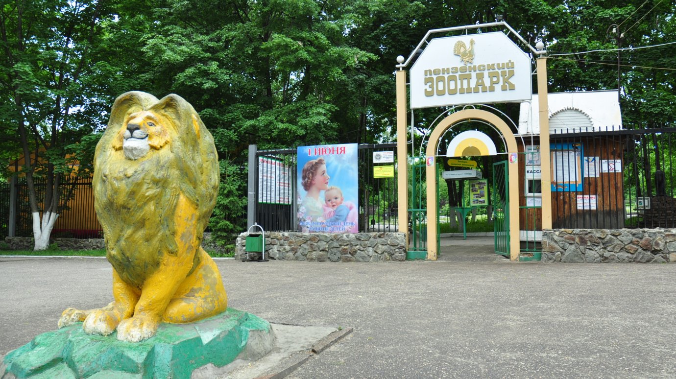 Роман Чернов поручил благоустроить входы в зоопарк