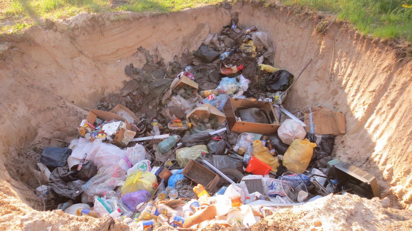 Председатели садоводческих товариществ зарывают мусор в землю
