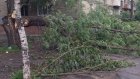 Коммунальщики убрали с ул. Карпинского сломанное ураганом дерево