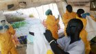 Роспотребнадзор призвал к осторожности в Африке из-за лихорадки Эбола