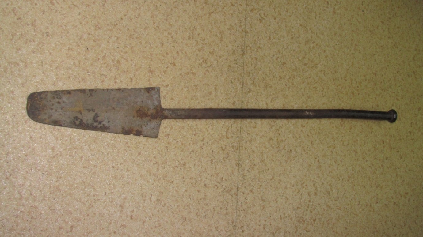 Житель Пензы передал в дар Музею леса меч Колесова
