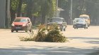 Куча срезанных веток мешает движению машин на улице Луначарского