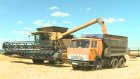 В Пензенской области планируют собрать более миллиона тонн зерна