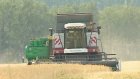 В Пензенской области собрано 500 тысяч тонн зерна