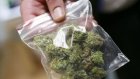 Житель Заречного задержан с 300 граммами марихуаны