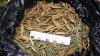 У 40-летнего кузнечанина изъято 1,3 кг марихуаны