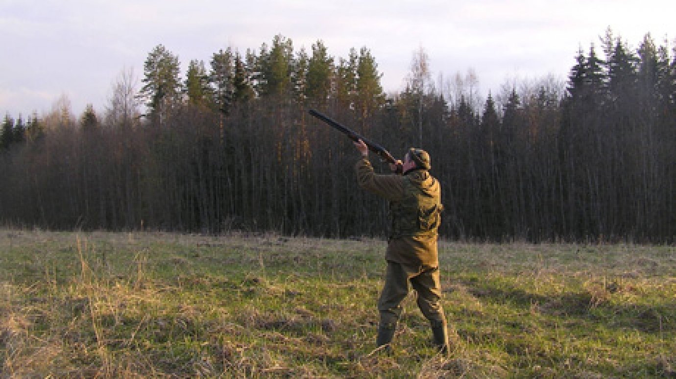 В Пензенской области изменены параметры охоты