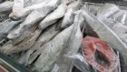 Роспотребнадзор забраковал в пензенских магазинах 437 кг рыбы